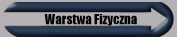 Warstwa Fizyczna